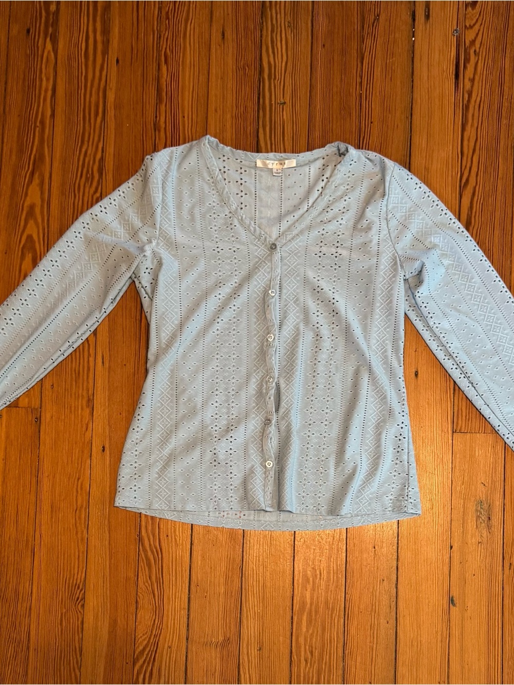 Cyrus Light Blue Eyelet Button-Down Top